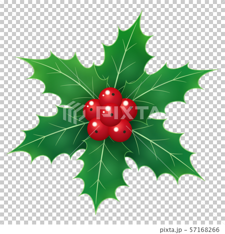 Illustration of strawberry _ 6 leaves 57168266