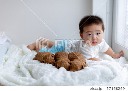 人間の赤ちゃんとプードルの赤ちゃん 57168269
