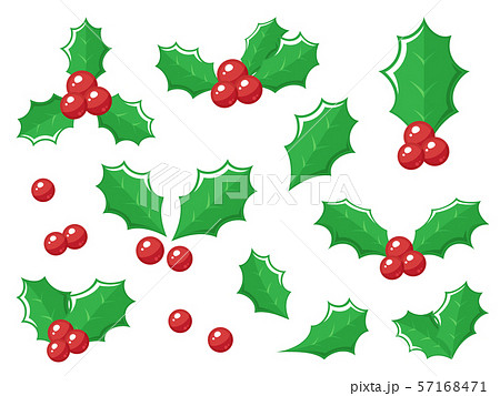 動物画像のすべて 元のヒイラギ クリスマス 葉っぱ イラスト