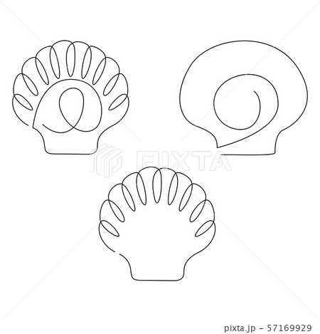 Scallop Shell Illustration Set Drawn By One のイラスト素材