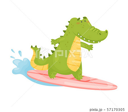 Cute green humanized crocodile surfer. Vector illustration on a white background. 57170305
