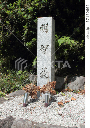 京都 明智藪 京都 明智藪 57170662
