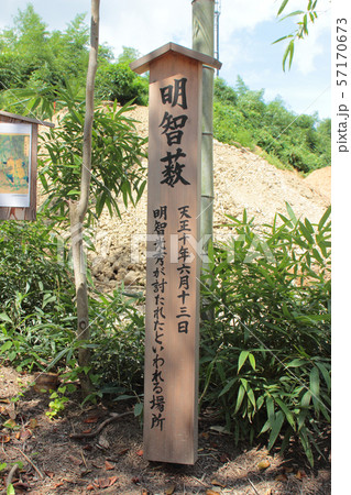 京都 明智藪 京都 明智藪 57170673