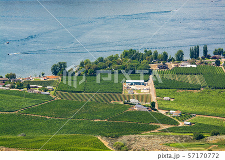 Landscape overview with farmer's land at Okanagan lake on summer day Landscape overview with farmer's land at Okanagan lake on summer day 57170772
