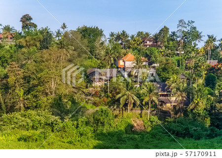 Sunset view on jungle and villas at Ubud, Bali, Sunset view on jungle and villas at Ubud, Bali, 57170911