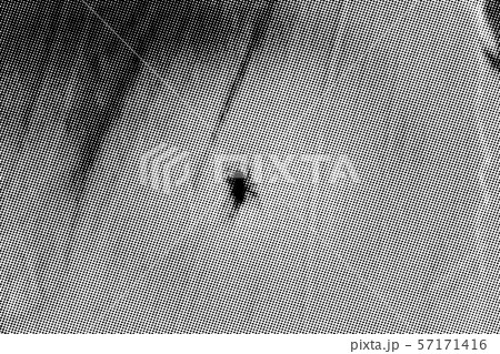 Grunge Halftone Texture Grunge Halftone Texture 57171416
