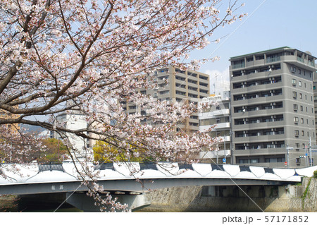 桜と横川橋界隈 桜と横川橋界隈 57171852