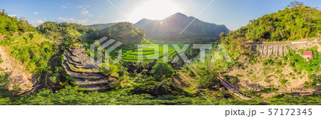 Green cascade rice field plantation at Bali, Indonesia 57172345