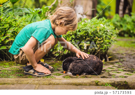 The boy feeds the rabbit. Cosmetics test on rabbit animal. Cruelty free and stop animal abuse The boy feeds the rabbit. Cosmetics test on rabbit animal. Cruelty free and stop animal abuse 57173593