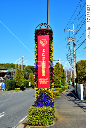 横浜ズーラシア動物園内風景 横浜ズーラシア動物園内風景 57173822