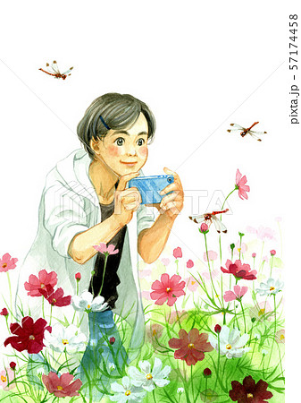 秋桜と赤とんぼ 57174458