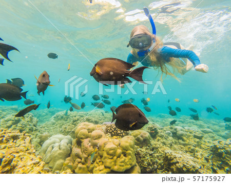 Happy woman in snorkeling mask dive underwater with tropical fishes in coral reef sea pool. Travel Happy woman in snorkeling mask dive underwater with tropical fishes in coral reef sea pool. Travel 57175927