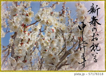 梅の年賀状　賀詞のみ 57176318