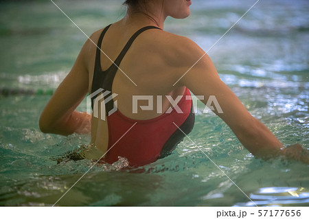 In the pool In the pool 57177656