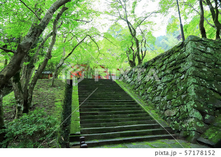 石垣 石垣 57178152