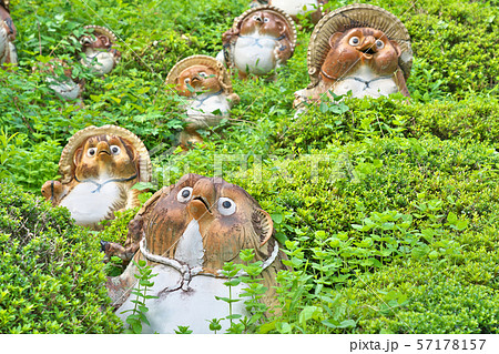 【信楽焼の狸】 滋賀県甲賀市信楽町長野 【信楽焼の狸】 滋賀県甲賀市信楽町長野 57178157