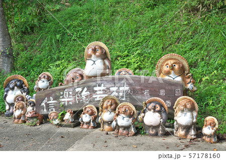 信楽焼の狸 滋賀県甲賀市信楽町長野の写真素材