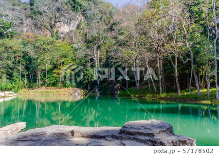 Swamp in Tham Luang - Khun Nam Nang Non Forest Swamp in Tham Luang - Khun Nam Nang Non Forest 57178502