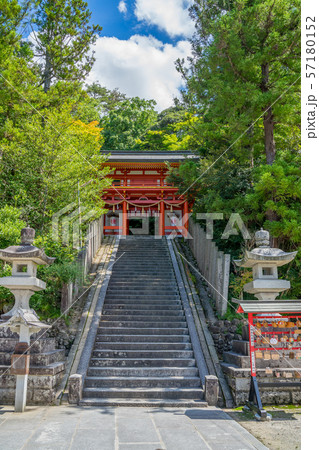京丹後 金刀比羅神社 狛猫 京丹後 金刀比羅神社 狛猫 57180152
