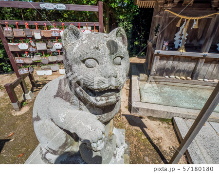 京丹後　金刀比羅神社　狛猫 57180180