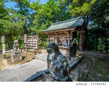 京丹後 金刀比羅神社 狛猫 京丹後 金刀比羅神社 狛猫 57180182