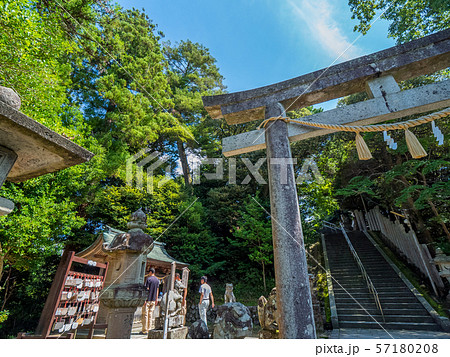 京丹後　金刀比羅神社　狛猫 57180208