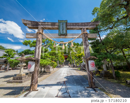 京丹後 金刀比羅神社 狛猫 京丹後 金刀比羅神社 狛猫 57180210