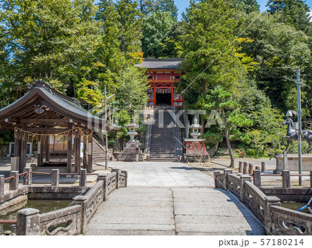 京丹後 金刀比羅神社 狛猫 京丹後 金刀比羅神社 狛猫 57180214
