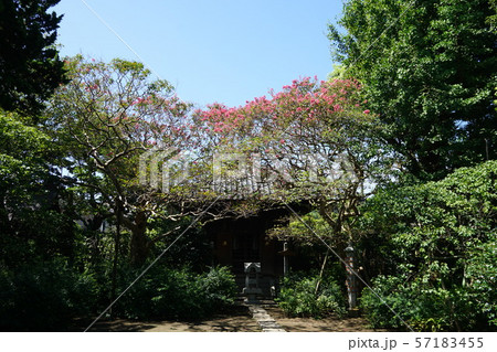 宝戒寺 Houkaiji temple 宝戒寺 Houkaiji temple 57183455