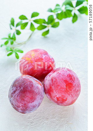 すもも (プラム) すもも (プラム) 57189056