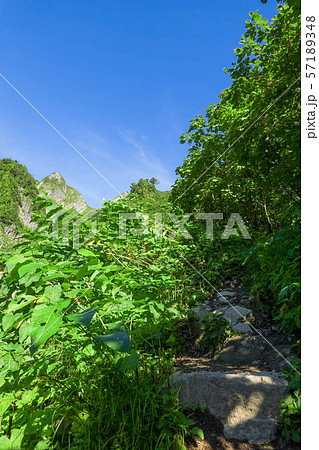 雨飾山登山 （荒菅沢から雨飾山を望む） 57189348