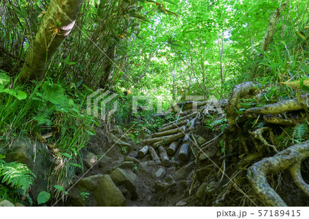 雨飾山登山 （荒菅沢からの急登） 57189415