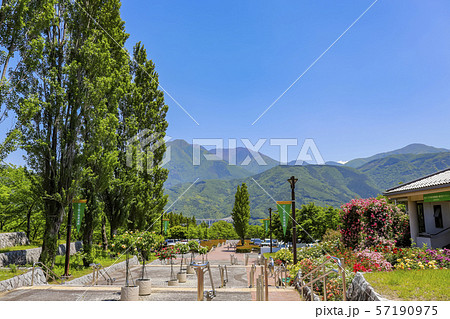 【山梨県】春の富士川クラフトパーク 57190975