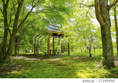 【山梨県北杜市】春の三分一湧水公園 【山梨県北杜市】春の三分一湧水公園 57190992