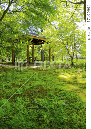 【山梨県北杜市】春の三分一湧水公園 57190994