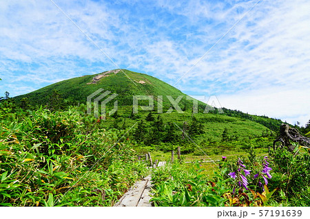 八甲田山　仙人岱方面から見る大岳 57191639