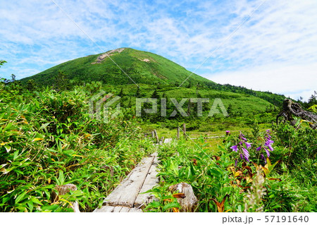 八甲田山　仙人岱方面から見る大岳 57191640