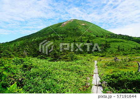八甲田山　仙人岱方面から見る大岳 57191644