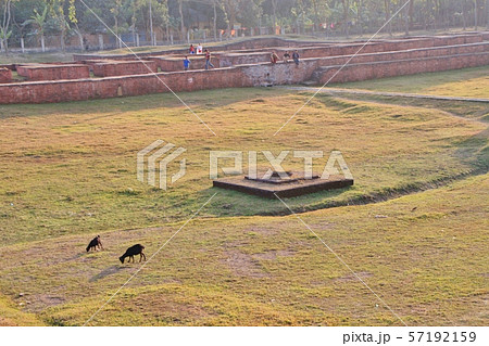 パハルプールの仏教寺院遺跡群 57192159