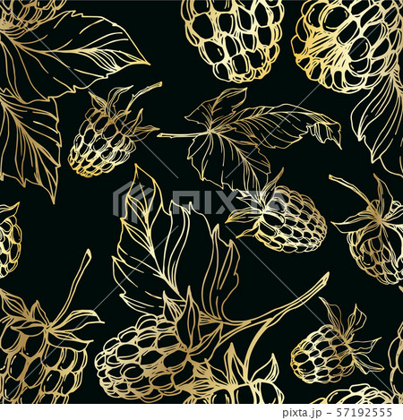 Vector Raspberry healthy food isolated. Black and white engraved ink art. Seamless background 57192555