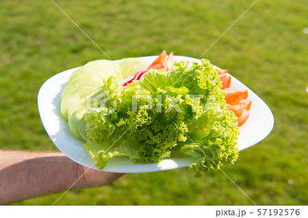 Fresh salad made from homegrown organic 57192576