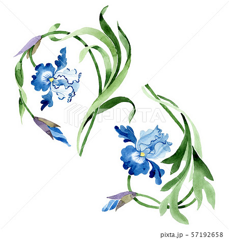 Ornament floral botanical flowers. Watercolor background illustration set. Isolated flower Ornament floral botanical flowers. Watercolor background illustration set. Isolated flower 57192658