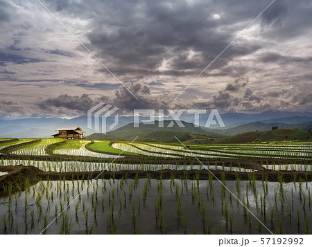 Beautiful landscape view of rice terraces and hut at chiang mai , Thailand. Beautiful landscape view of rice terraces and hut at chiang mai , Thailand. 57192992