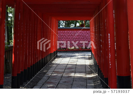 鳥居 57193037