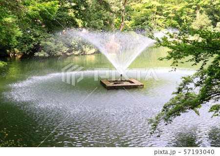 噴水 噴水 57193040