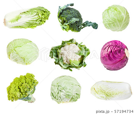various headed cabbages isolated on white 57194734