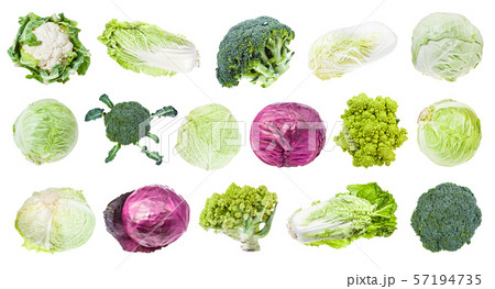 many various headed cabbages isolated on white 57194735