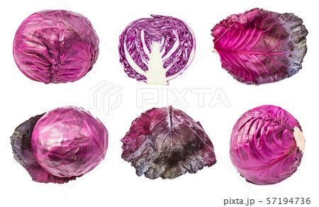 various leaves and heads of red cabbages isolated 57194736