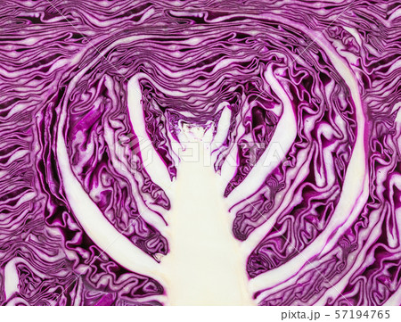 ornament from texture of sliced red cabbage ornament from texture of sliced red cabbage 57194765