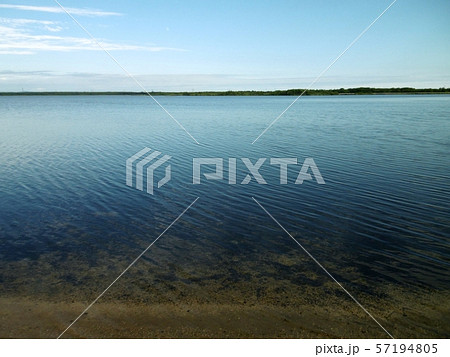 ウトナイ湖 57194805